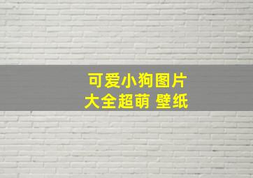 可爱小狗图片大全超萌 壁纸